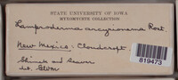 Image Associated With the Occurence